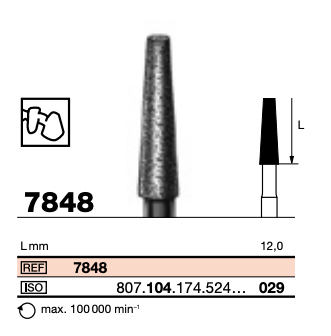 D  Burs 029